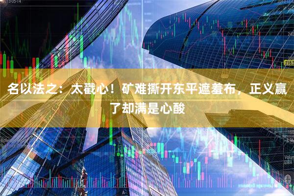 名以法之：太戳心！矿难撕开东平遮羞布，正义赢了却满是心酸