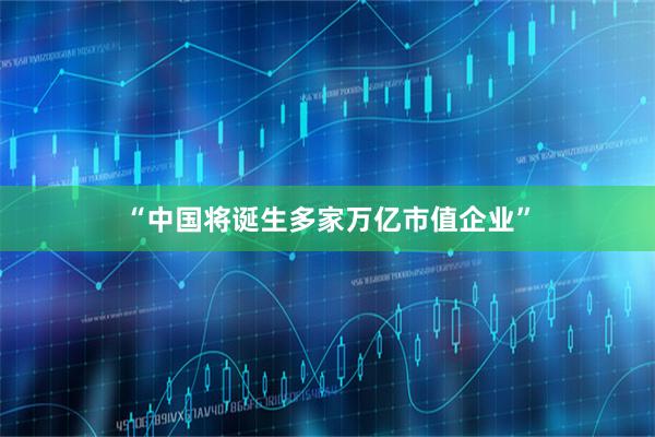 “中国将诞生多家万亿市值企业”