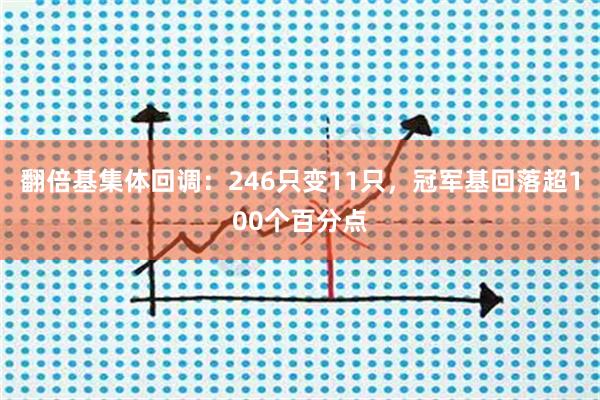 翻倍基集体回调：246只变11只，冠军基回落超100个百分点