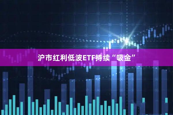 沪市红利低波ETF持续“吸金”